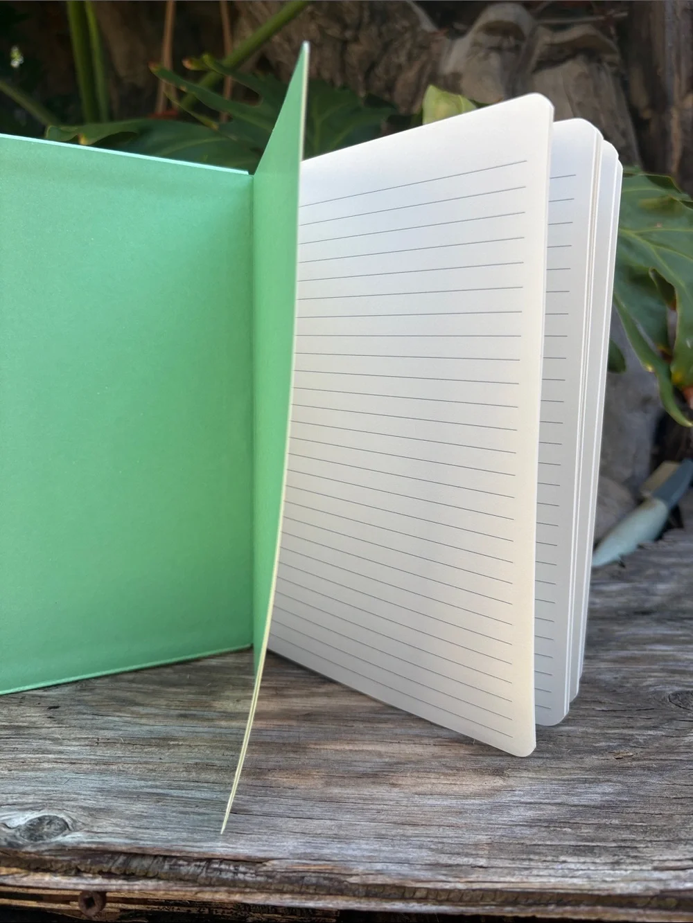 N/A writing journal